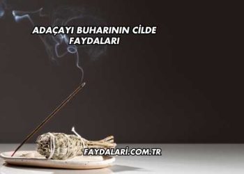 Adaçayı Buharının Cilde Faydaları