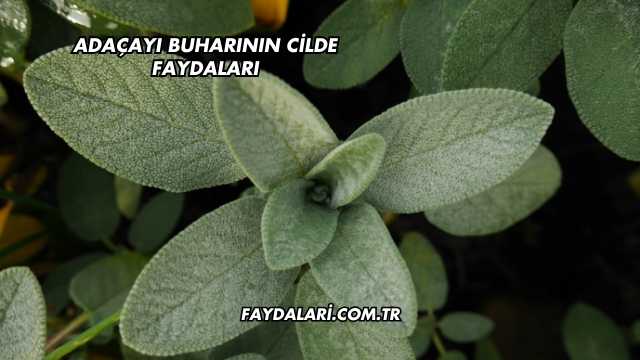 Adaçayı Buharının Cilde Faydaları