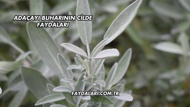 Adaçayı Buharının Cilde Faydaları