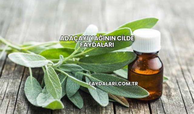 Adaçayı Yağının Cilde Faydaları