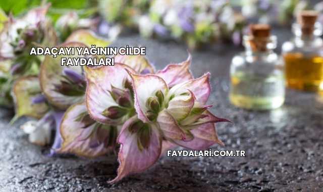Adaçayı Yağının Cilde Faydaları
