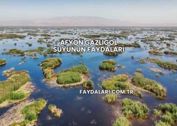 Afyon Gazlıgöl Suyunun Faydaları