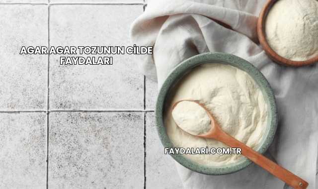 Agar Agar Tozunun Cilde Faydaları