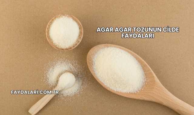 Agar Agar Tozunun Cilde Faydaları