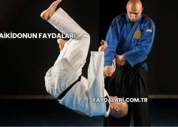 Aikidonun Faydaları