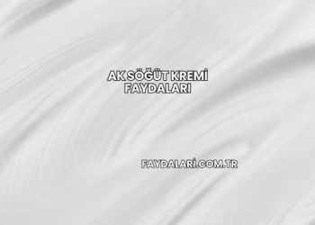 Ak Söğüt Kremi Faydaları