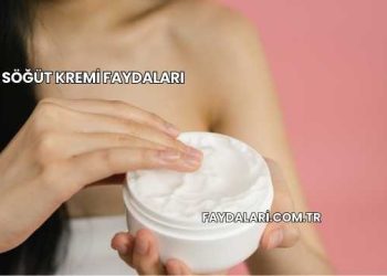 Ak Söğüt Kremi Faydaları