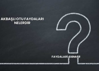 Akbaşlı Otu Faydaları Nelerdir