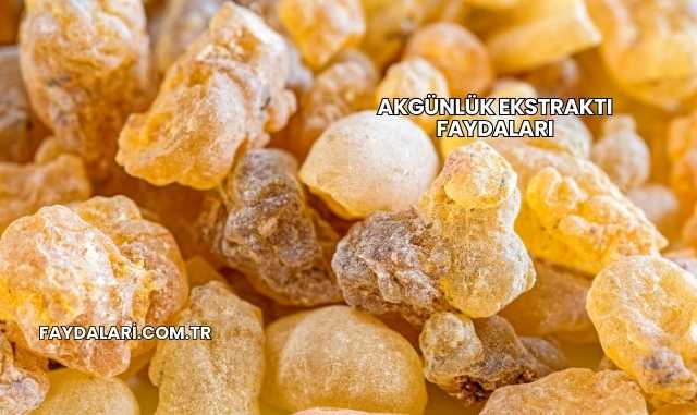 Akgünlük Ekstraktı Faydaları