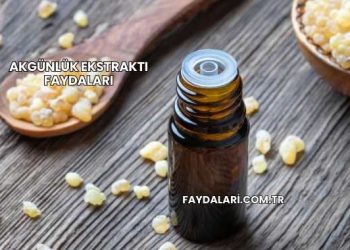 Akgünlük Ekstraktı Faydaları