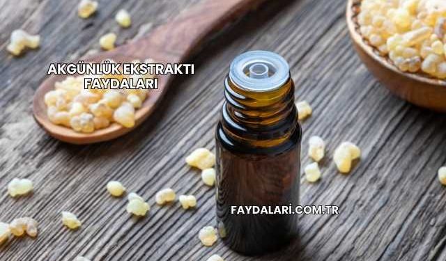 Akgünlük Ekstraktı Faydaları