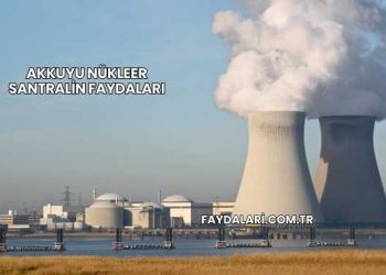 Akkuyu Nükleer Santralin Faydaları