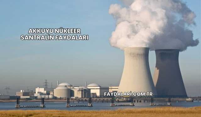 Akkuyu Nükleer Santralin Faydaları