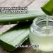 Aloe Vera Hindistan Cevizi Yağı Faydaları