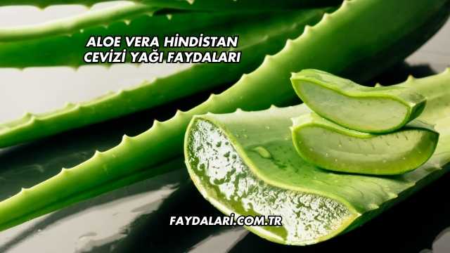Aloe Vera Hindistan Cevizi Yağı Faydaları