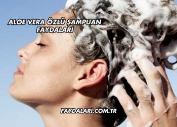 Aloe Vera Özlü Şampuan Faydaları