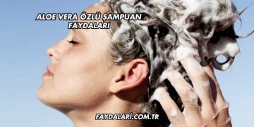 Aloe Vera Özlü Şampuan Faydaları