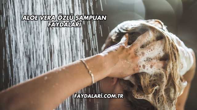 Aloe Vera Özlü Şampuan Faydaları