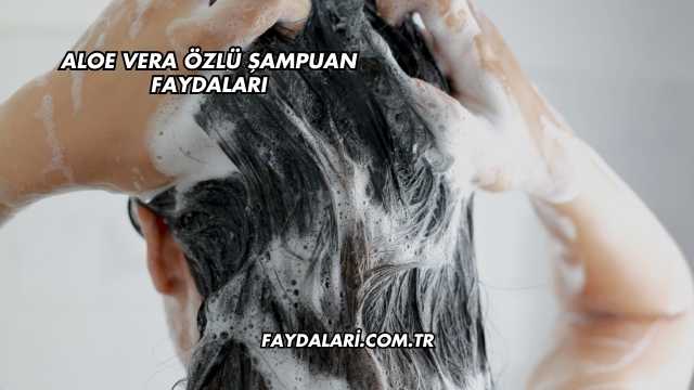 Aloe Vera Özlü Şampuan Faydaları