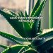 Aloe Vera Yaprağının Faydaları