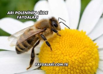 Arı Poleninin Cilde Faydaları