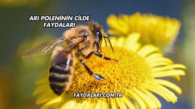 Arı Poleninin Cilde Faydaları