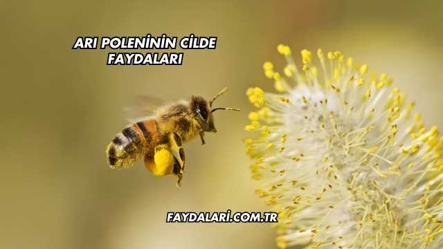 Arı Poleninin Cilde Faydaları