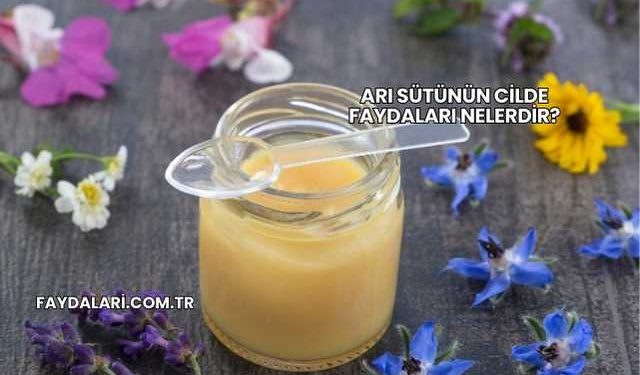 Arı Sütünün Cilde Faydaları Nelerdir?