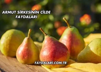 Armut Sirkesinin Cilde Faydaları