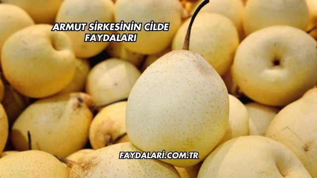 Armut Sirkesinin Cilde Faydaları
