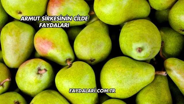 Armut Sirkesinin Cilde Faydaları