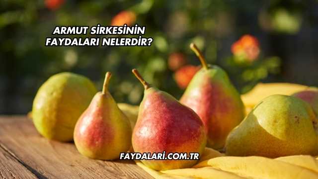 Armut Sirkesinin Faydaları Nelerdir?