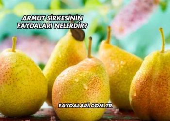 Armut Sirkesinin Faydaları Nelerdir?