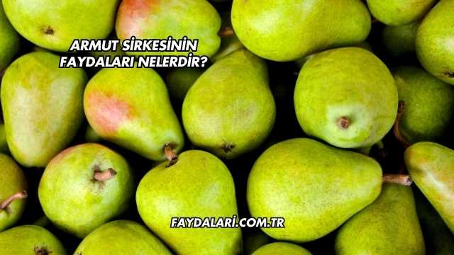 Armut Sirkesinin Faydaları Nelerdir?