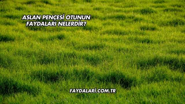 Aslan Pençesi Otunun Faydaları Nelerdir?