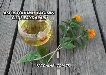 Aspir Tohumu Yağının Cilde Faydaları