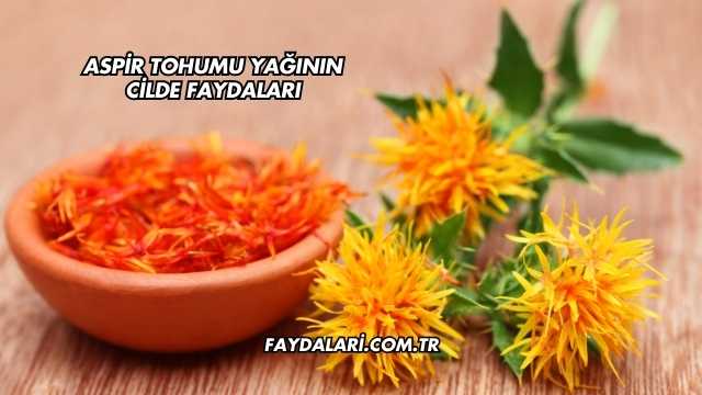 Aspir Tohumu Yağının Cilde Faydaları