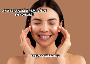 At Kestanesi Kremi Cilde Faydaları