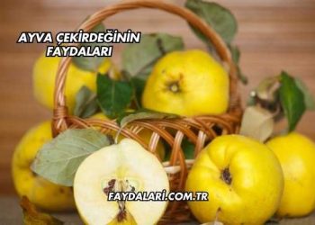 Ayva Çekirdeğinin Faydaları