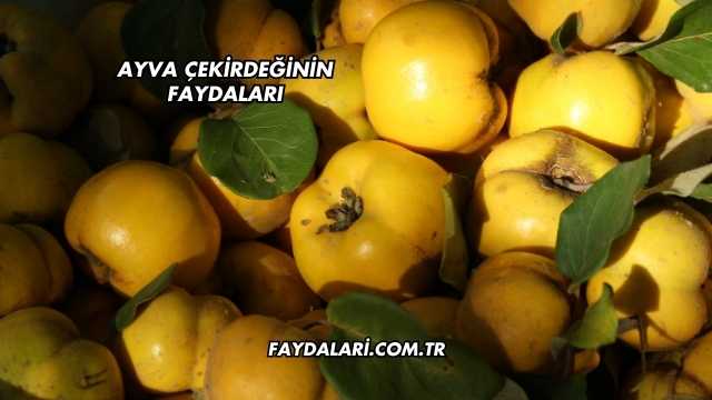 Ayva Çekirdeğinin Faydaları