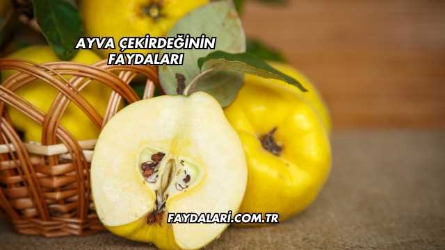 Ayva Denesinin Faydaları