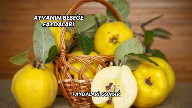 Ayvanın Bebeğe Faydaları