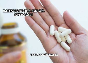 Balen Propolis Kapsül Faydaları