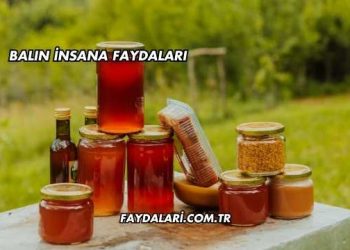 Balın İnsana Faydaları