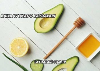 Ballı Avokado Faydaları