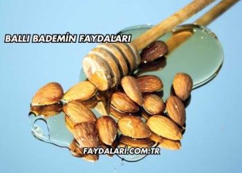 Ballı Bademin Faydaları