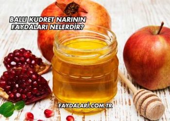 Ballı Kudret Narının Faydaları Nelerdir?