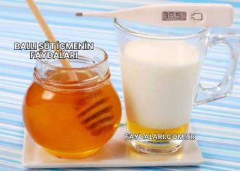 Ballı Süt İçmenin Faydaları