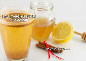 Ballı Tarçınlı Suyun Faydaları