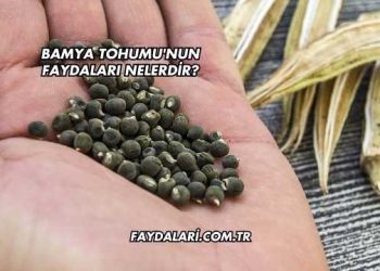 Bepanthol Onarıcı Krem Faydaları